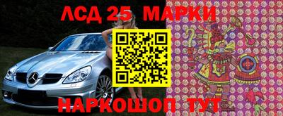 прущие грибы Лесосибирск