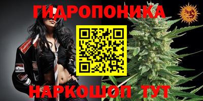 прущие грибы Лесосибирск