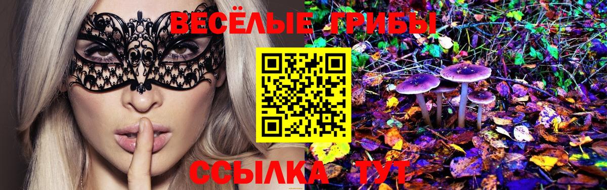 Будённовск  Галлюциногенные грибы мицелий  Вход с VPN 